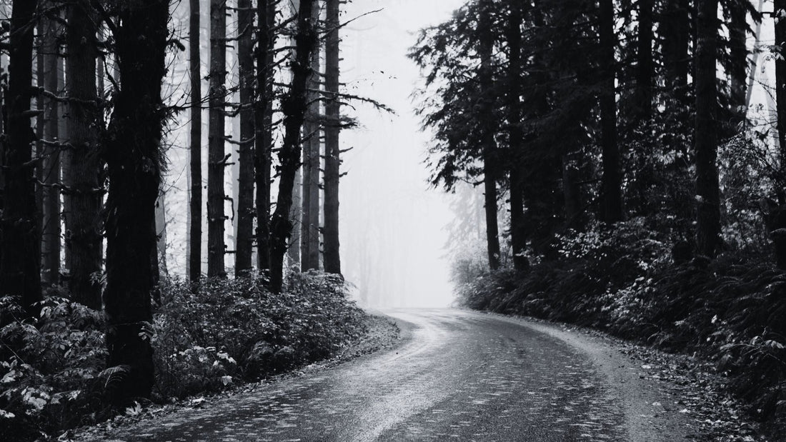 Pacific Northwest motorcycle touring