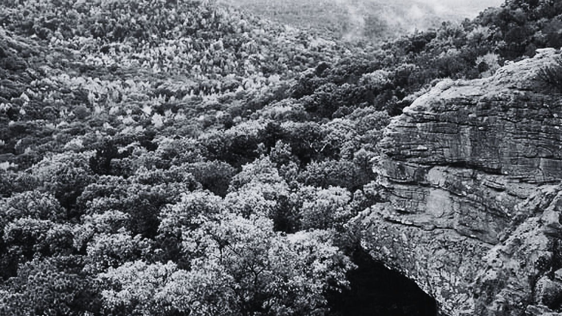 Extend the Season: The Ultimate Guide to Fall Motorcycle Riding in the Southern US