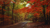 Natchez Trace Parkway Ride: 440 Miles of Historic Sweepers & Scenic Stays