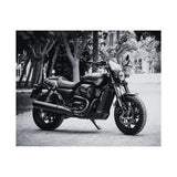 Harley Davidson Motorcycle Poster Print
