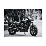 Harley Davidson Motorcycle Poster Print
