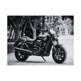 Harley Davidson Motorcycle Poster Print
