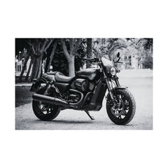 Harley Davidson Motorcycle Poster Print
