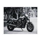 Harley Davidson Motorcycle Poster Print
