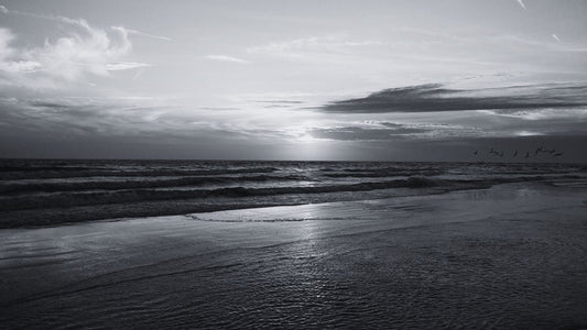 Exploring Florida: Top Motorcycle Routes & Biker Hotspots