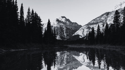 Peaks, Pines & Pavement: Riding Glacier National Park the Right Way