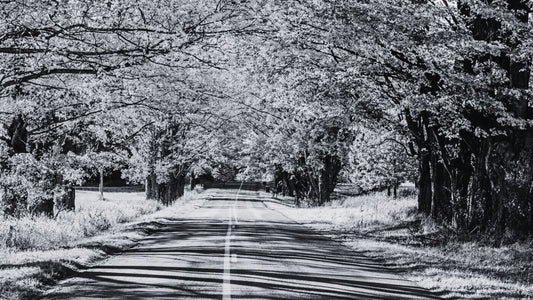 Best Fall Foliage Motorcycle Rides: Your Guide to Northern US Routes