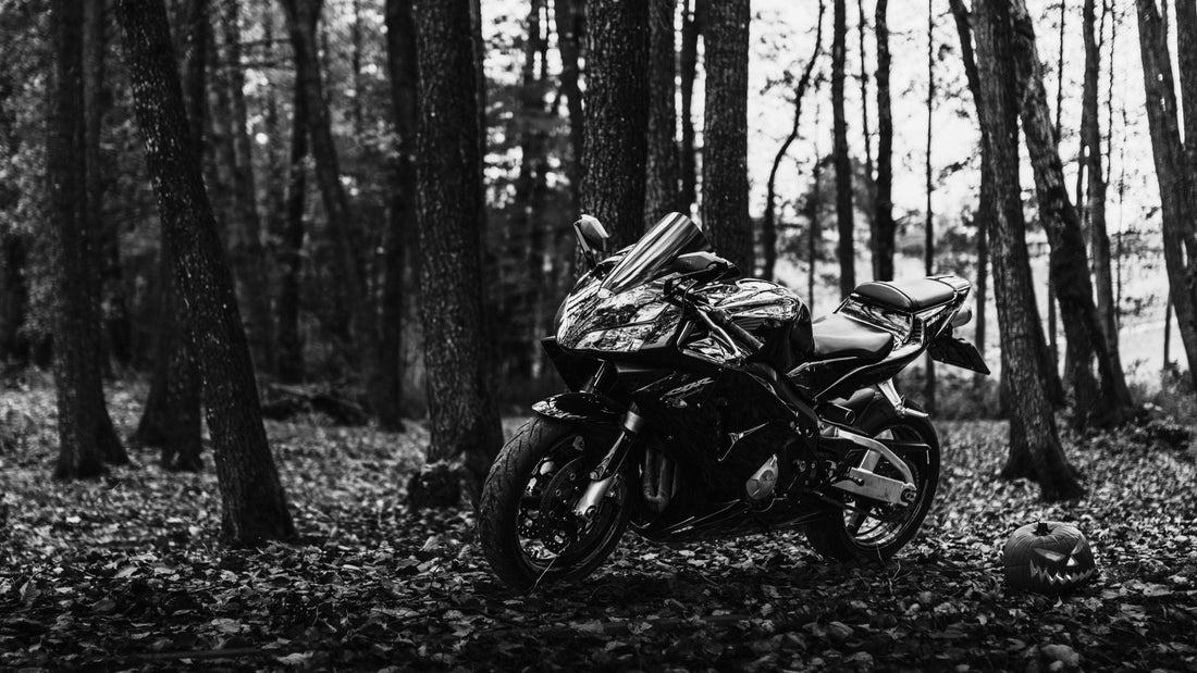 Ride On, Cold One: Practical Tips for Cold Weather Riding