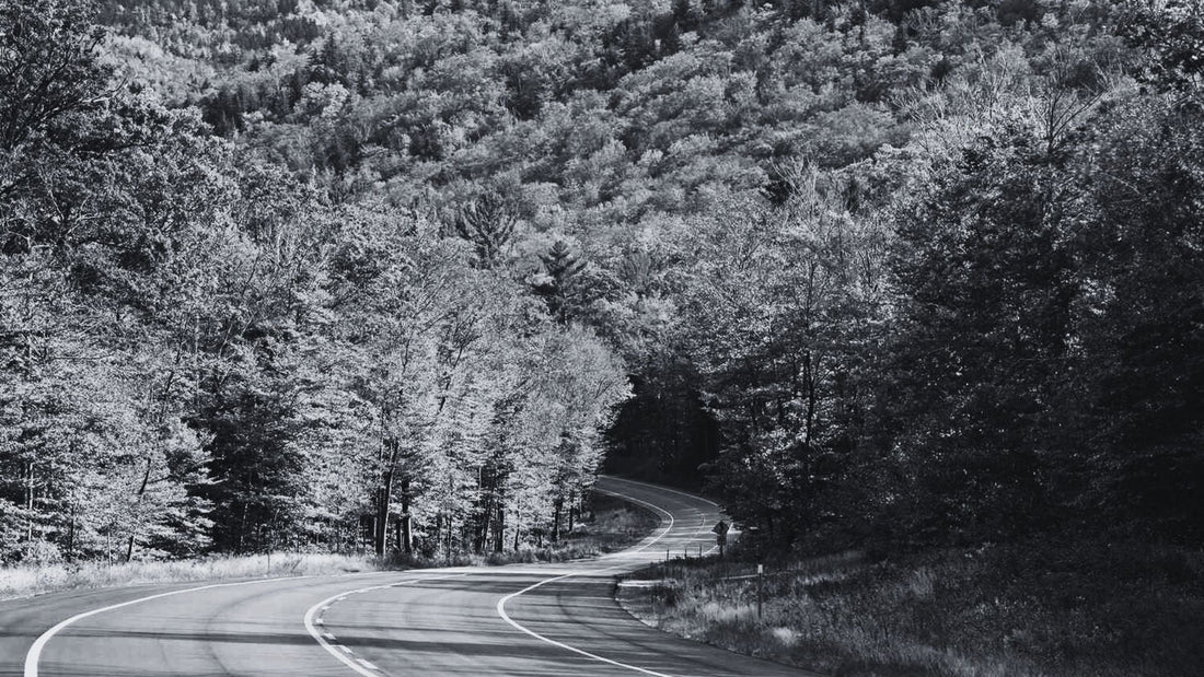 New England & Blue Ridge: The Ultimate Fall Riding Guide for the Eastern US