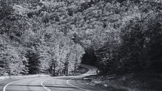 New England & Blue Ridge: The Ultimate Fall Riding Guide for the Eastern US