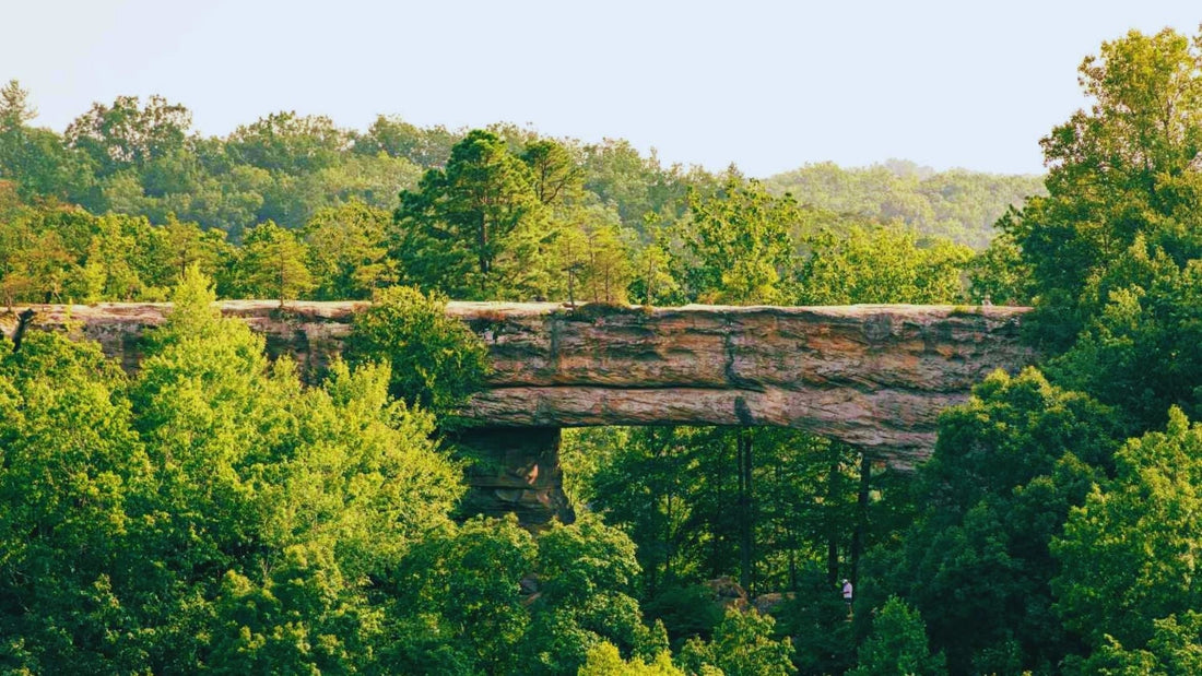 Cracking the Nada Tunnel: The Red River Gorge Byway (Kentucky)