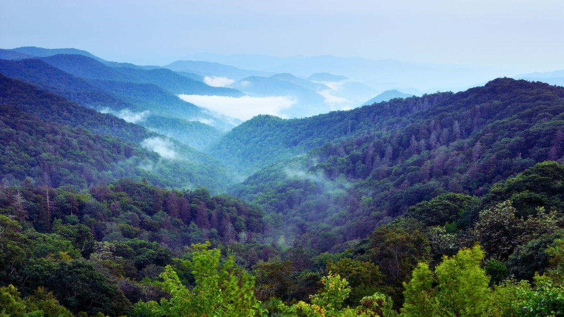 Great Smoky Mountains: Best Motorcycle Routes and Rider Stays