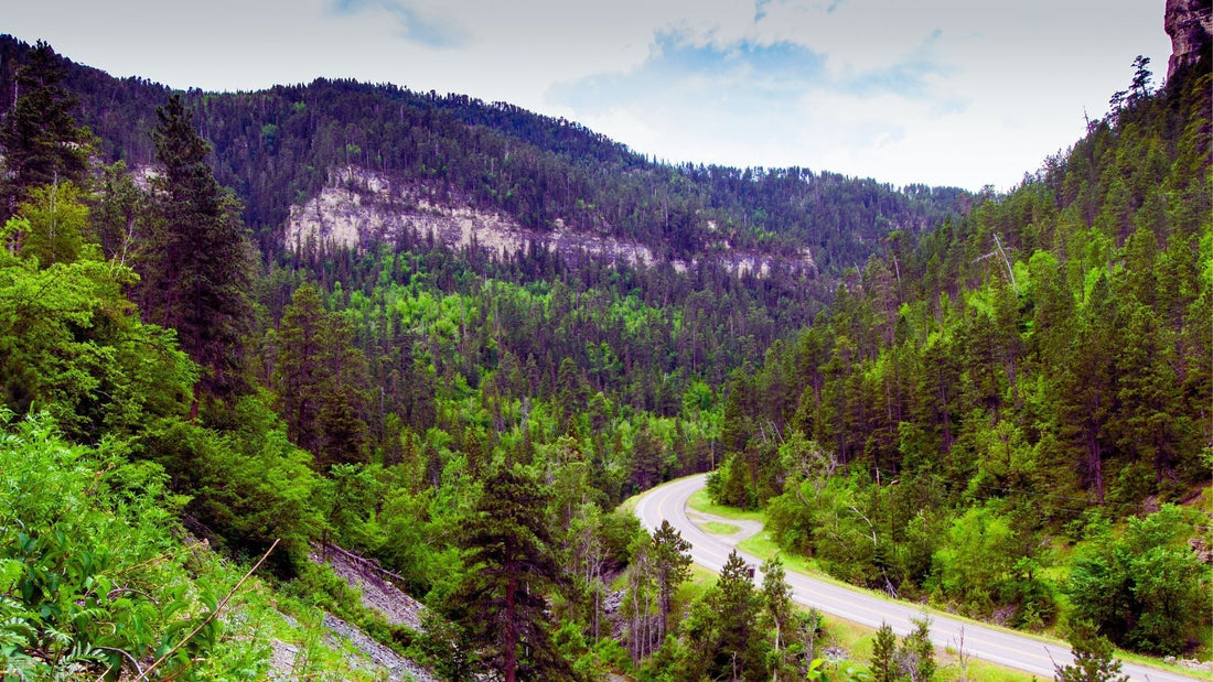South Dakota’s Black Hills Must-Ride Canyons & Craters