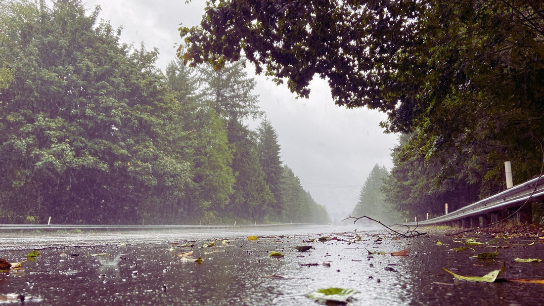 Wet Weather Traction: How to Read Road Hazards & Manage Slick Asphalt