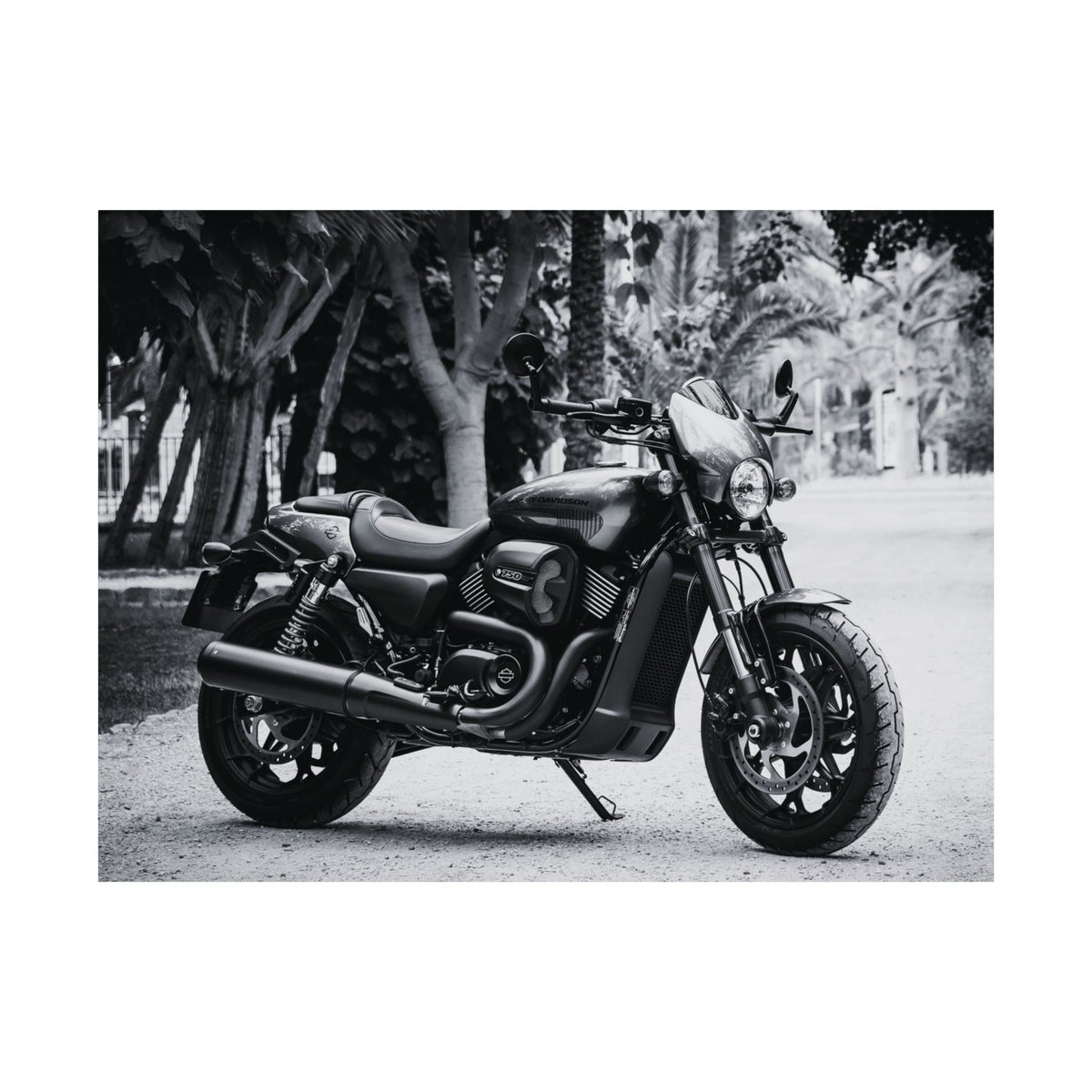 Harley Davidson Motorcycle Poster Print