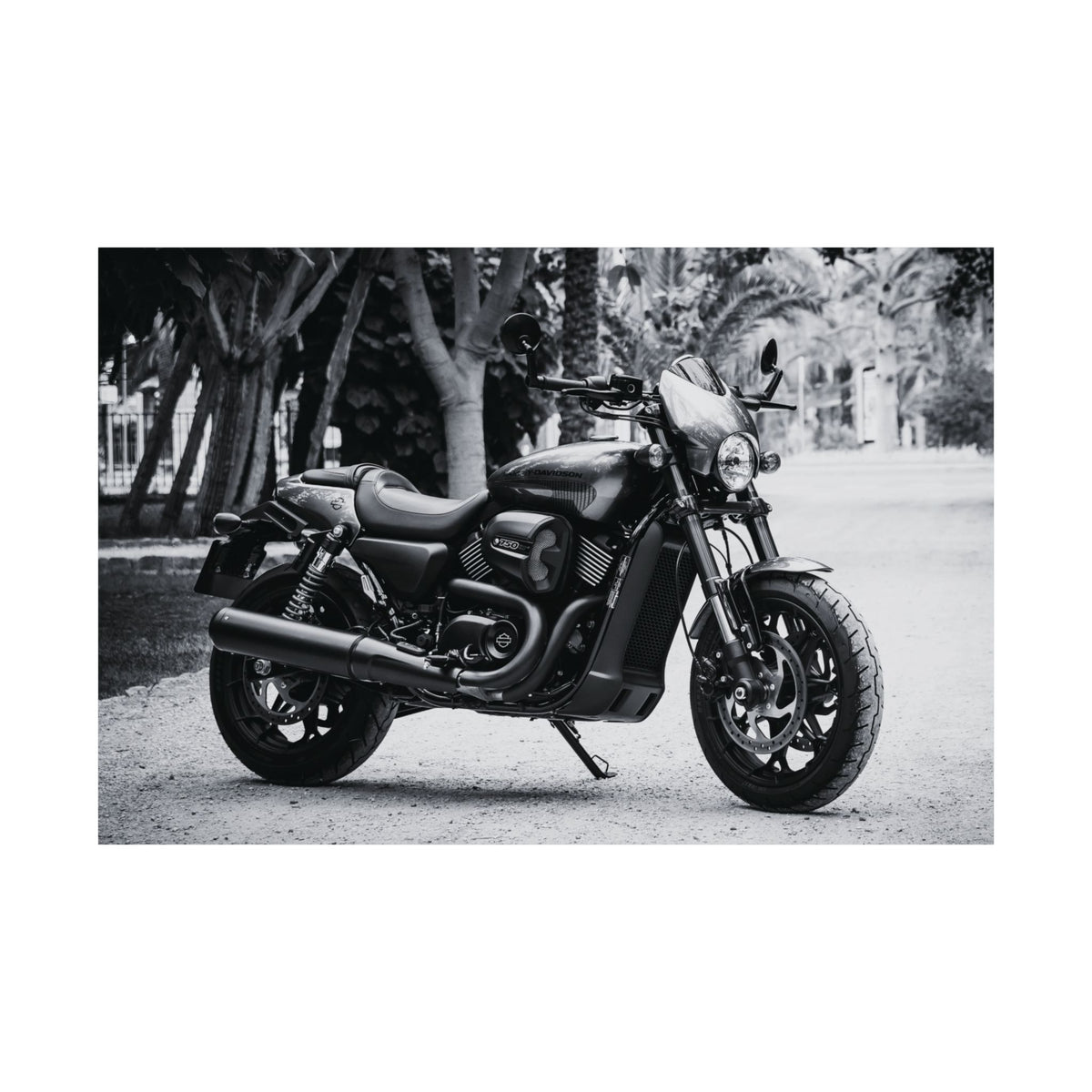Harley Davidson Motorcycle Poster Print